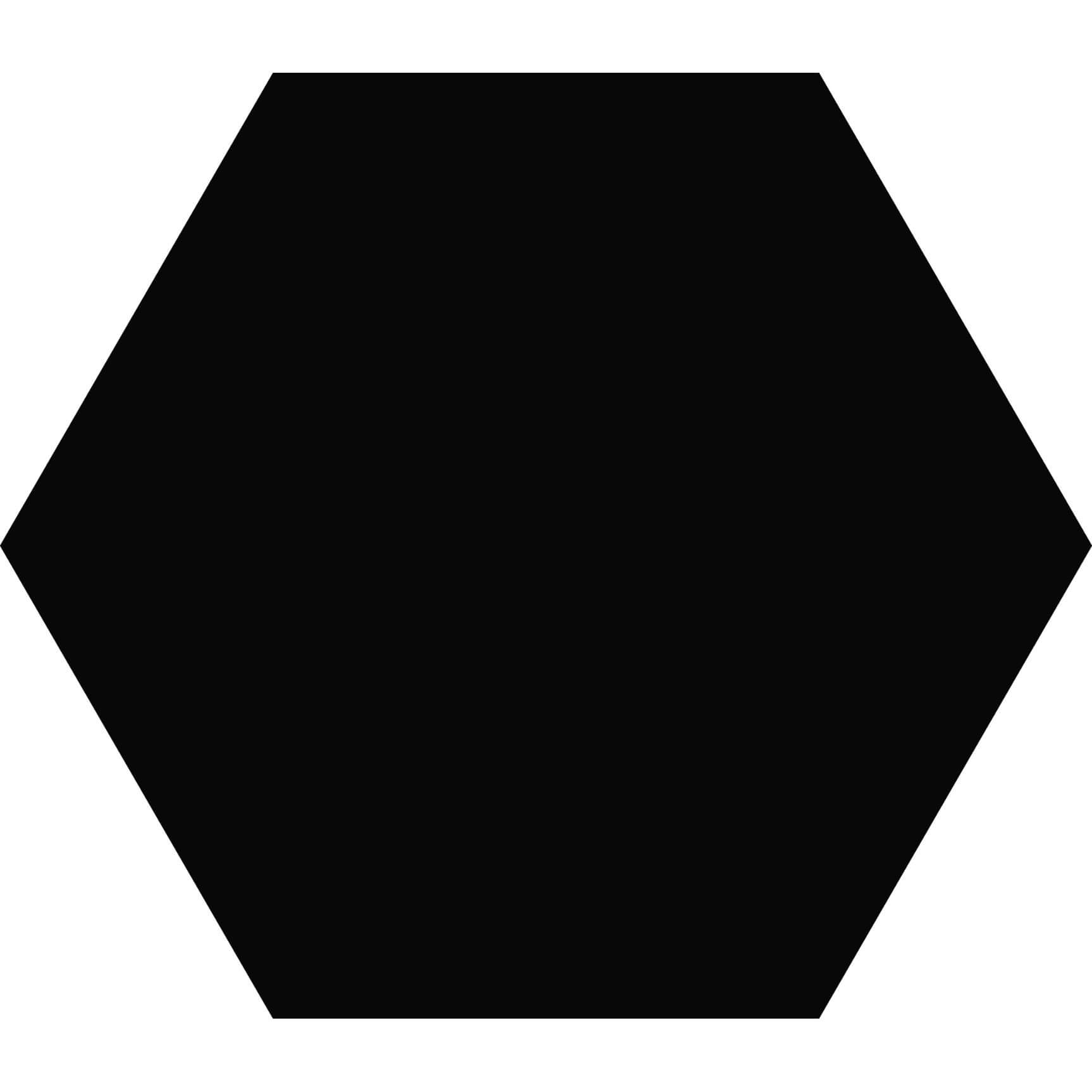 Carrelage hexagonal sol et mur Element Noir mat aspect tomette 23x27 cm