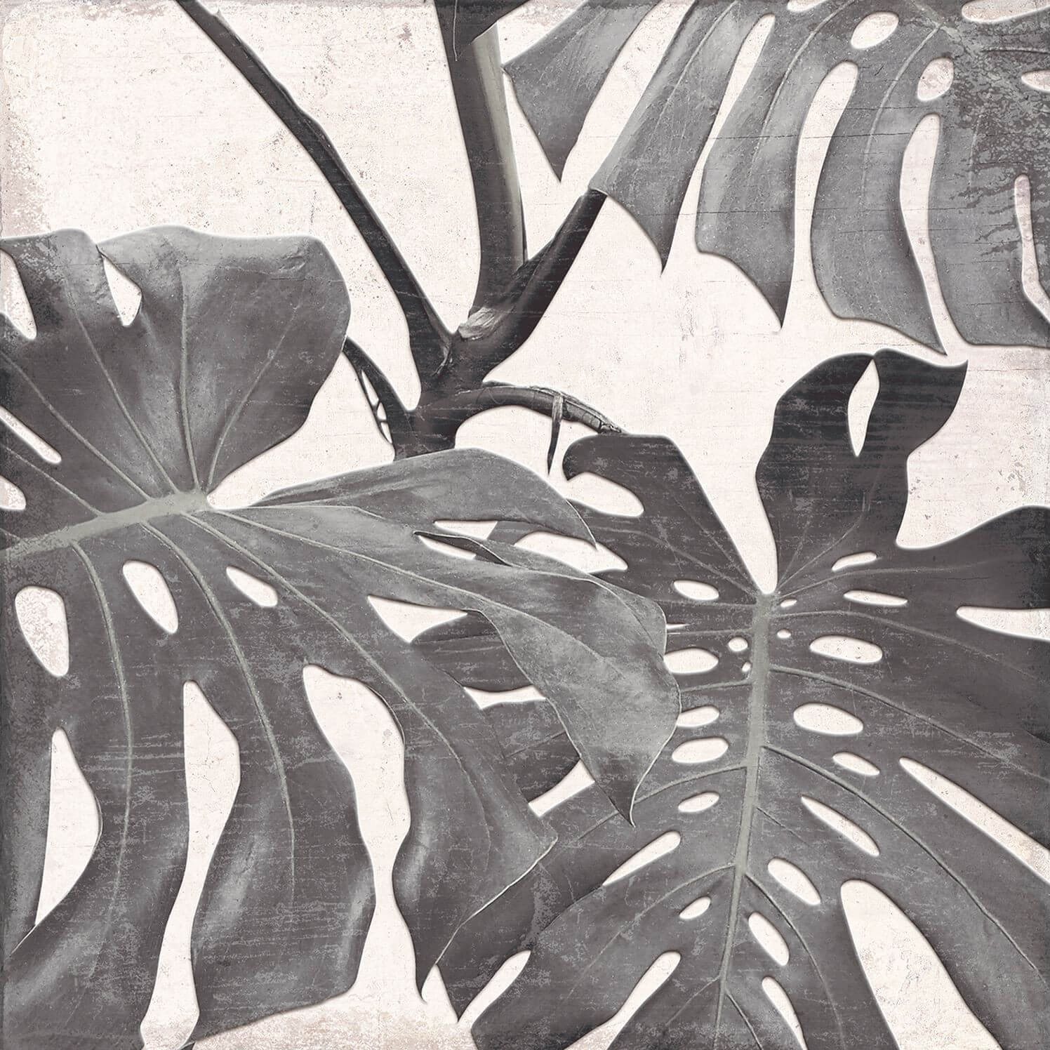 Carrelage sol et mur aspect carreau ciment motif Decorado Botanic 25x25 cm