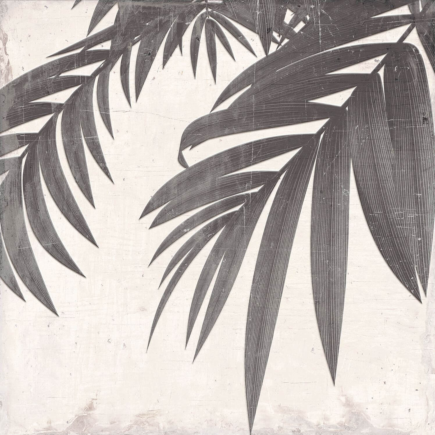 Carrelage sol et mur aspect carreau ciment motif Decorado Botanic 25x25 cm