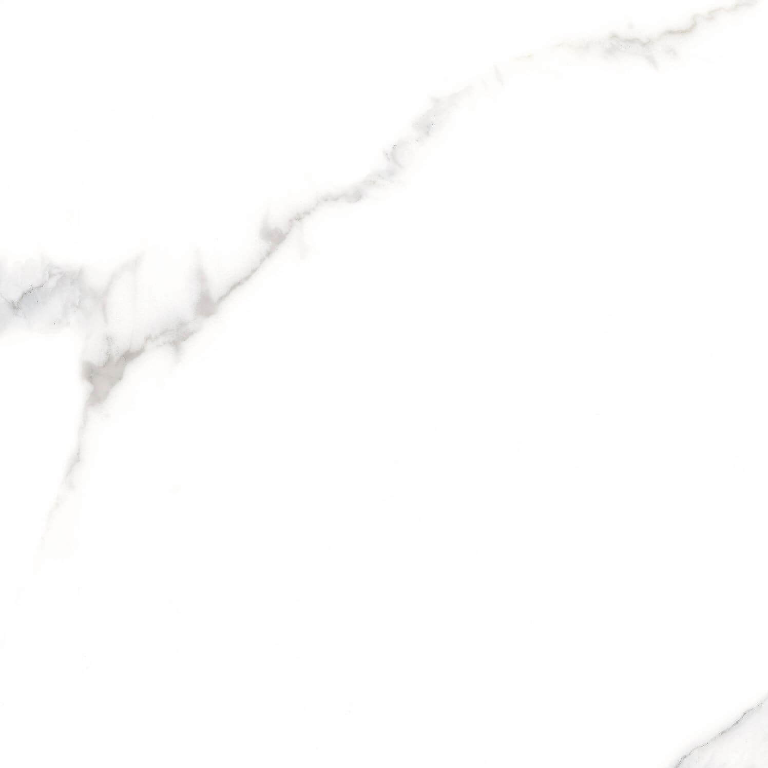 Carrelage sol et mur aspect marbre blanc mat Terni Blanco 25x25 cm