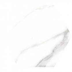 Carrelage hexagonal aspect marbre Terni blanc 23x27 cm